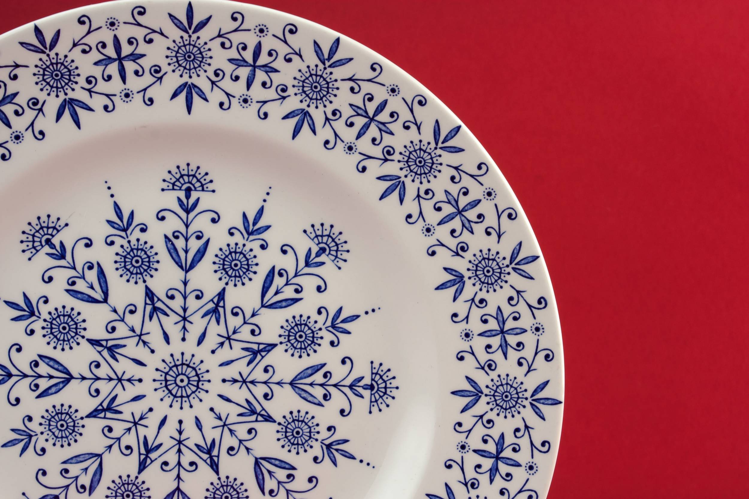 Vintage Pottery Midwinter — 2 blue and white plates 1