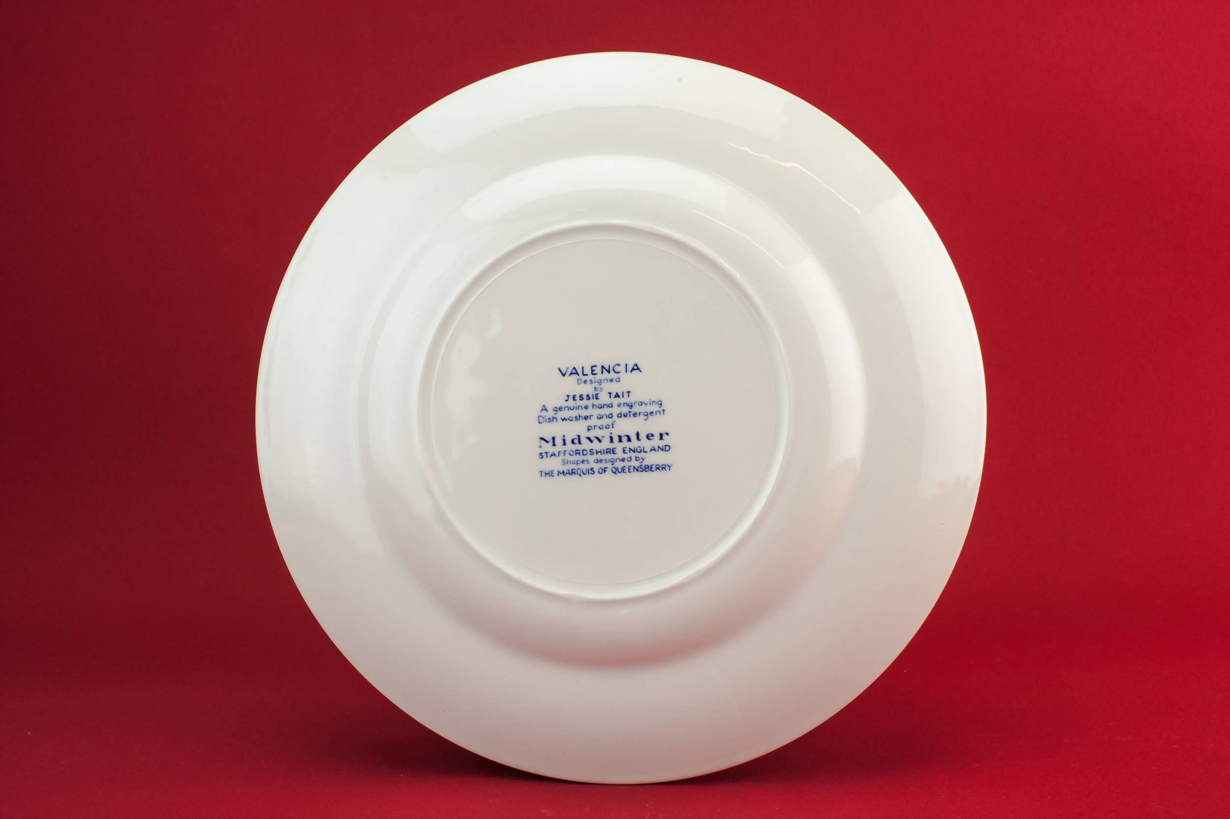 Vintage Pottery Midwinter — 2 blue and white plates 2