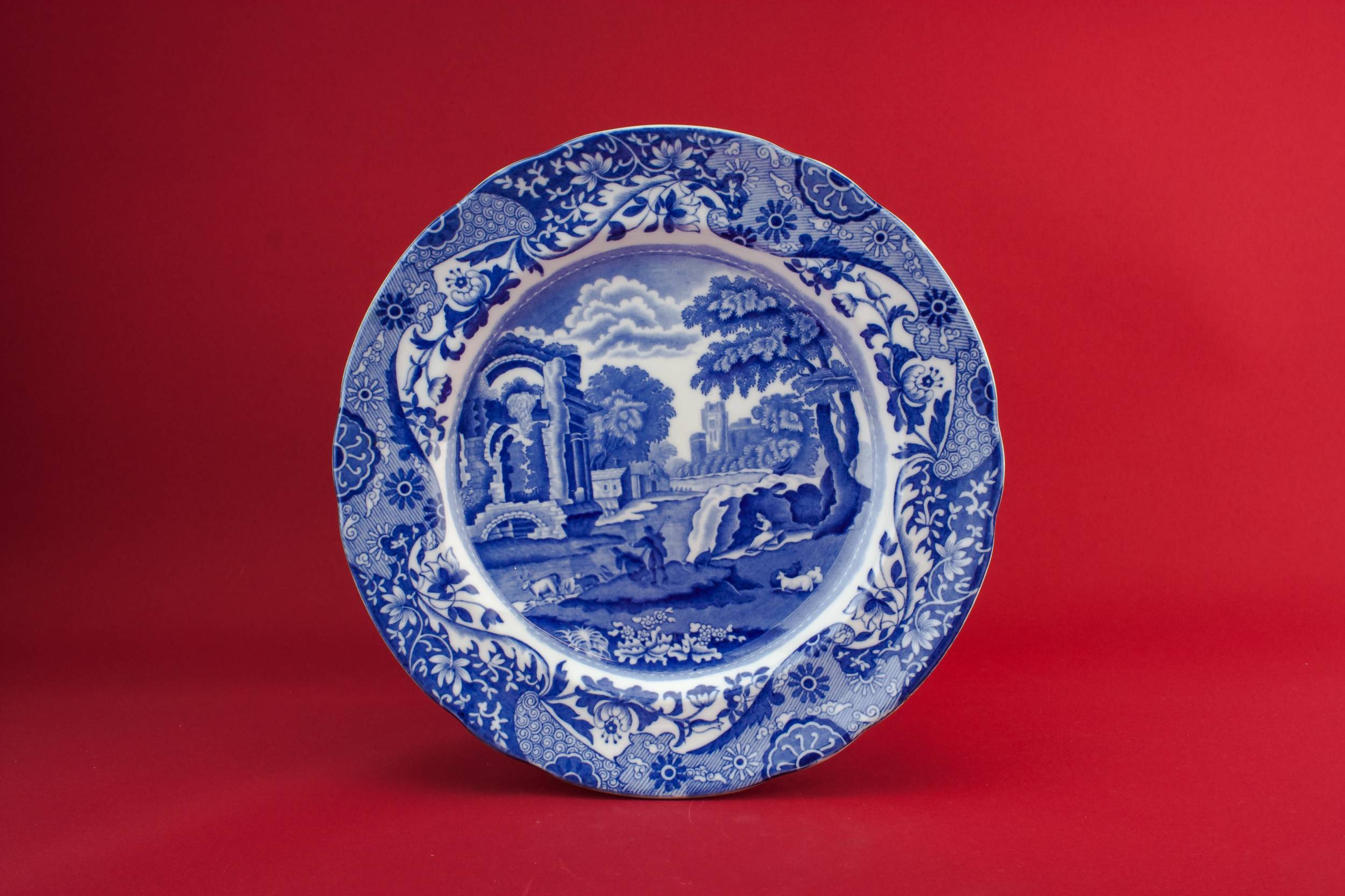 Blue And White — Retro pottery plate