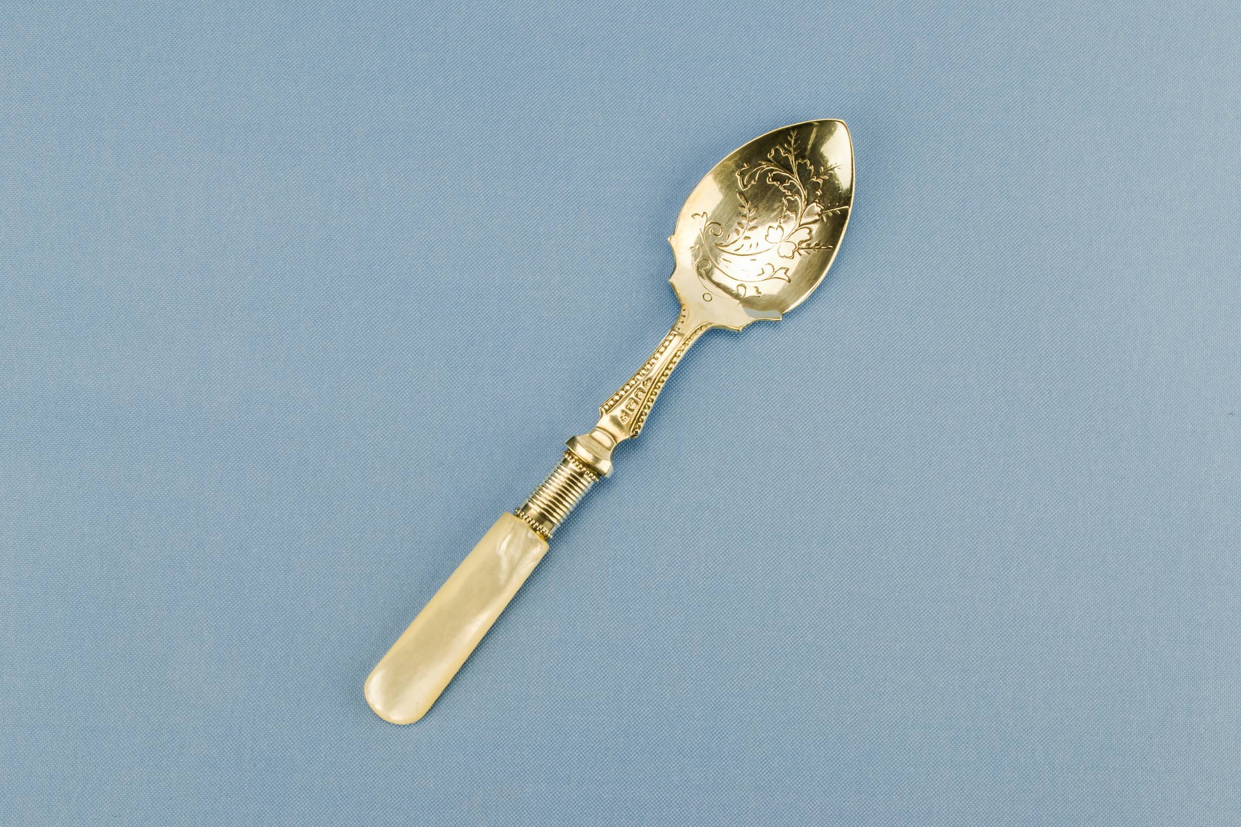 Victorian Spectacular Floral — Mother of pearl spoon