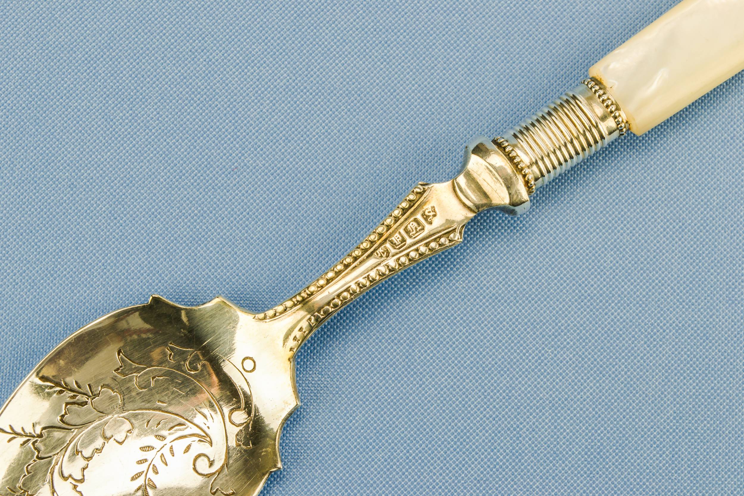 Victorian Spectacular Floral — Mother of pearl spoon 2