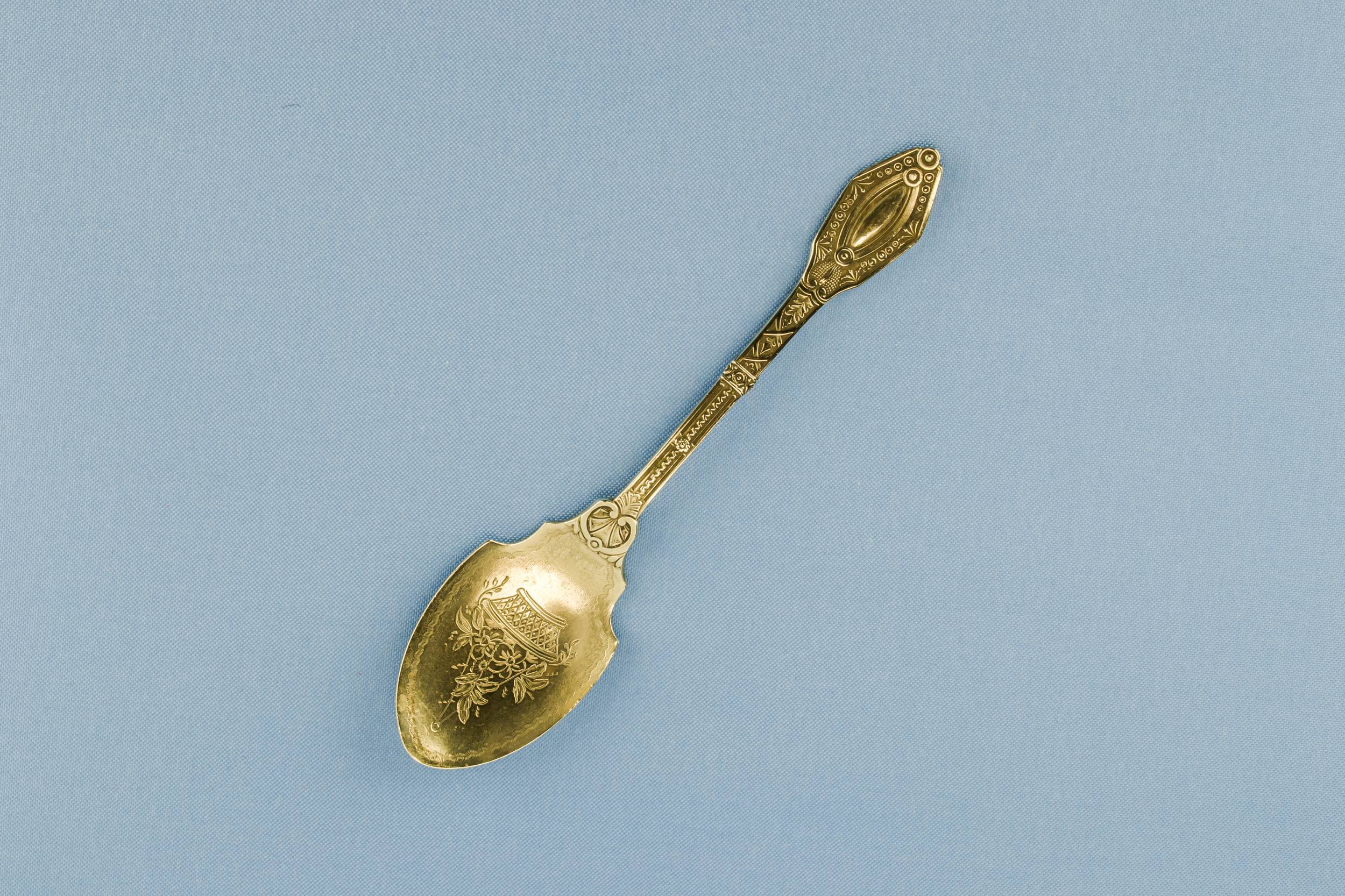 Silver Plated Aesthetic — Serving silver plated spoon