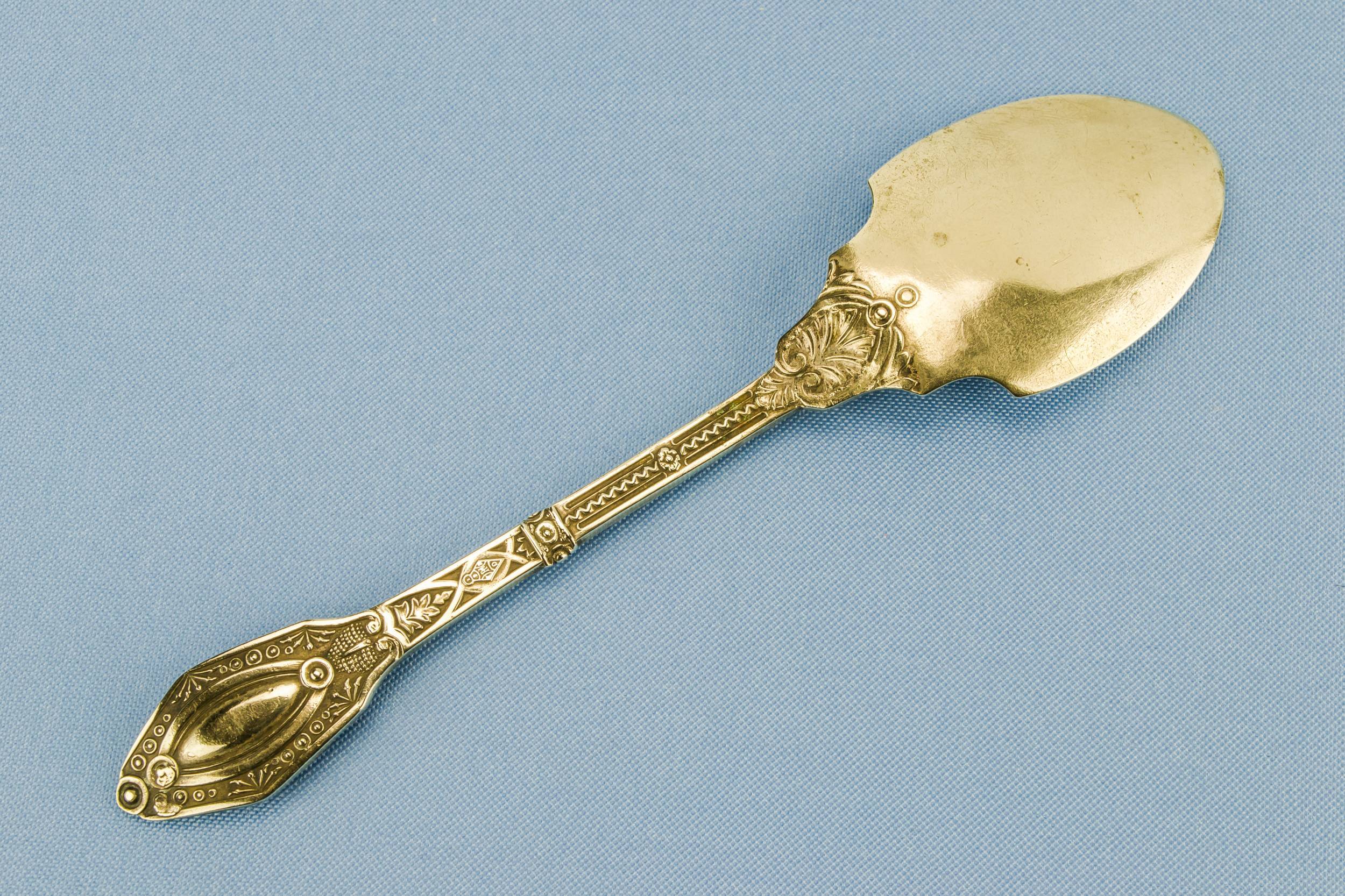Silver Plated Aesthetic — Serving silver plated spoon 1