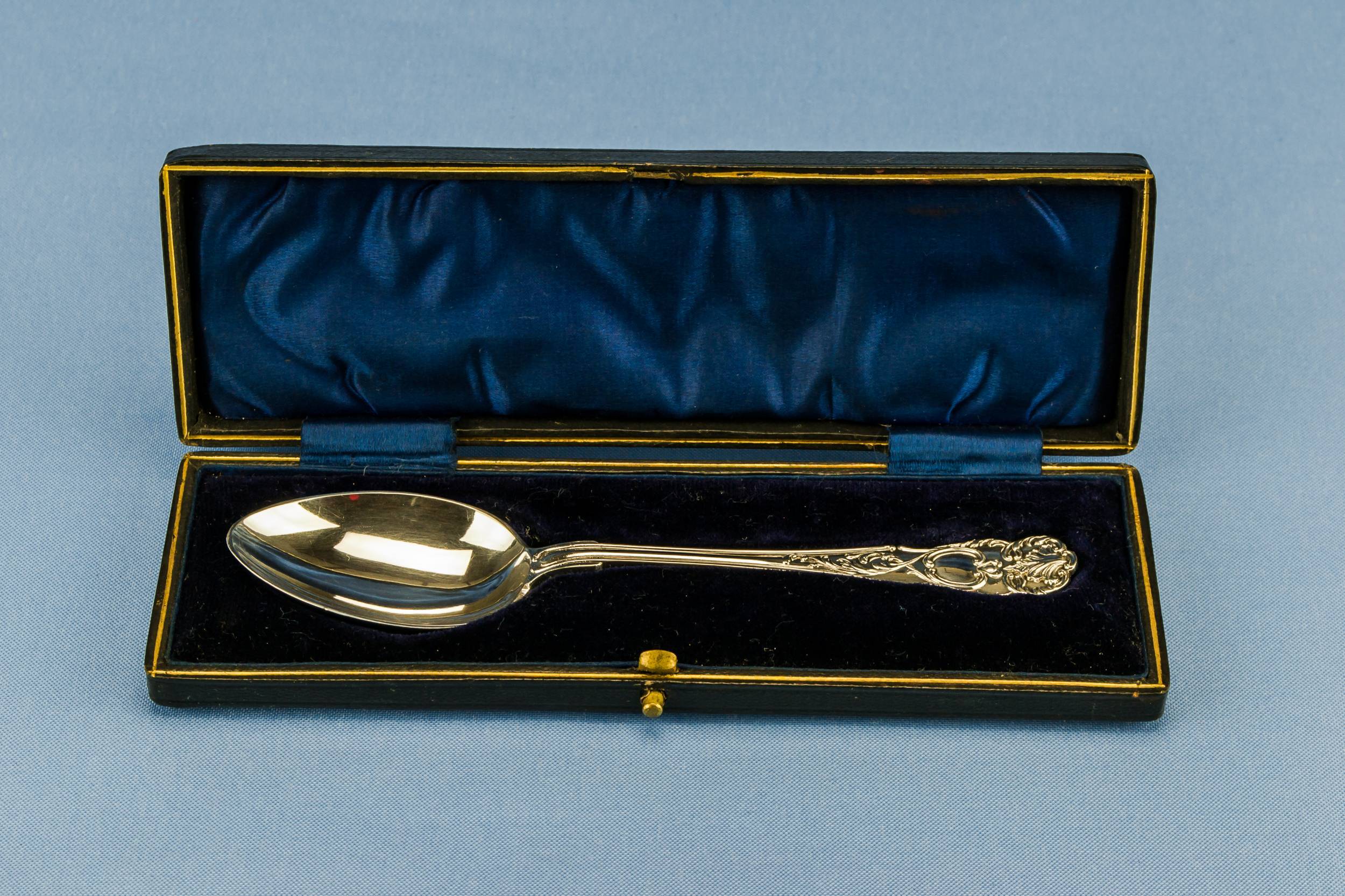 Silver Plated Dessert — Silver plated serving spoon 1