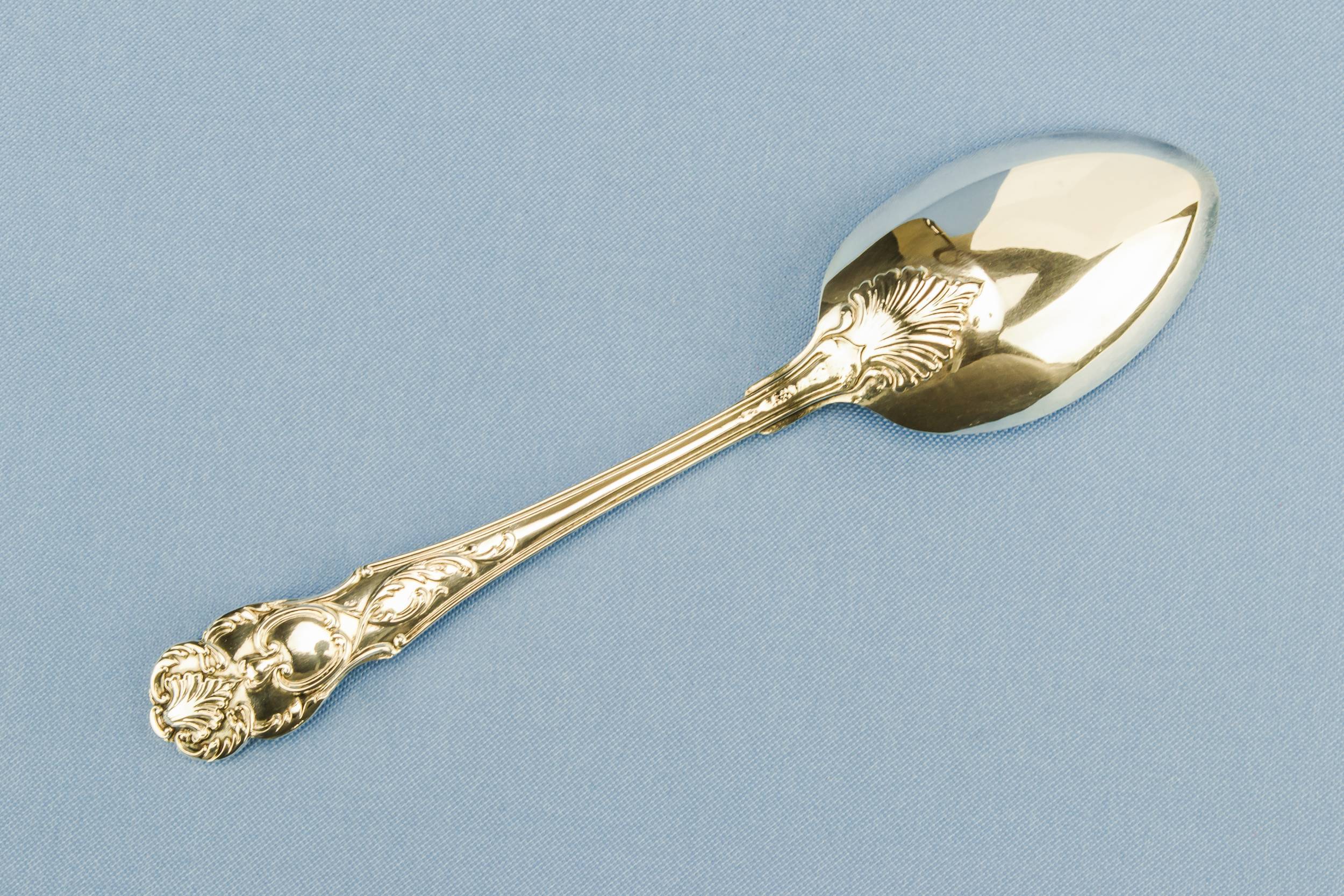Silver Plated Dessert — Silver plated serving spoon 3