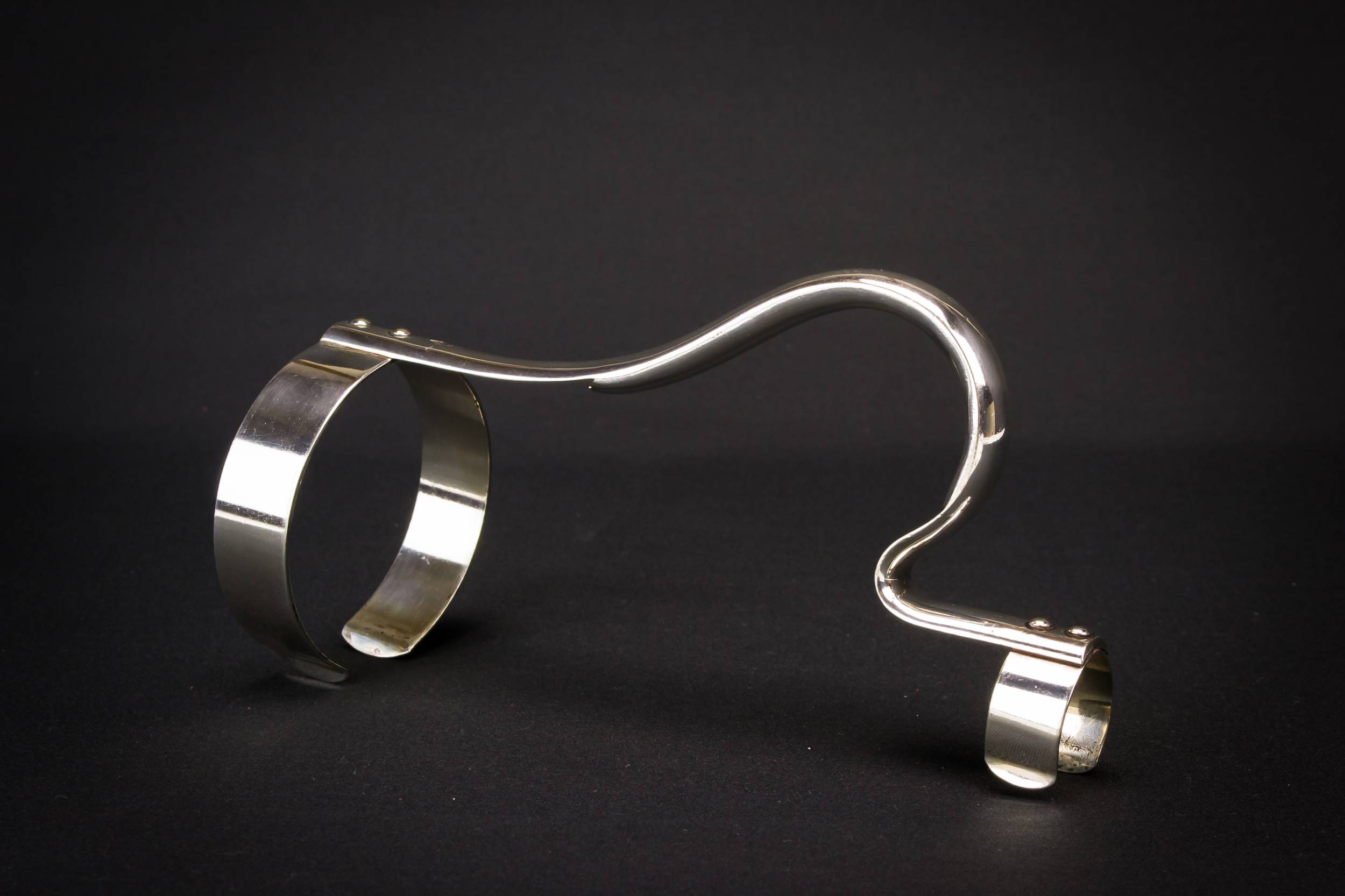 Elegant Silver Plated — Silver plated wine carrier 2