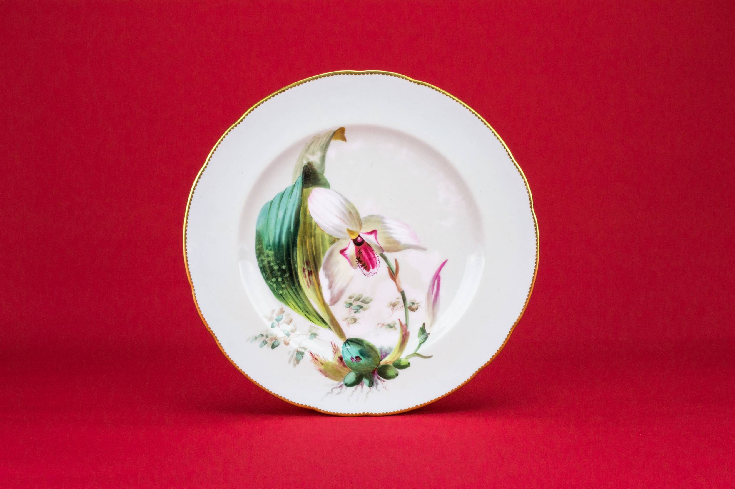 Spectacular Porcelain Floral — Painted orchid dinner plate
