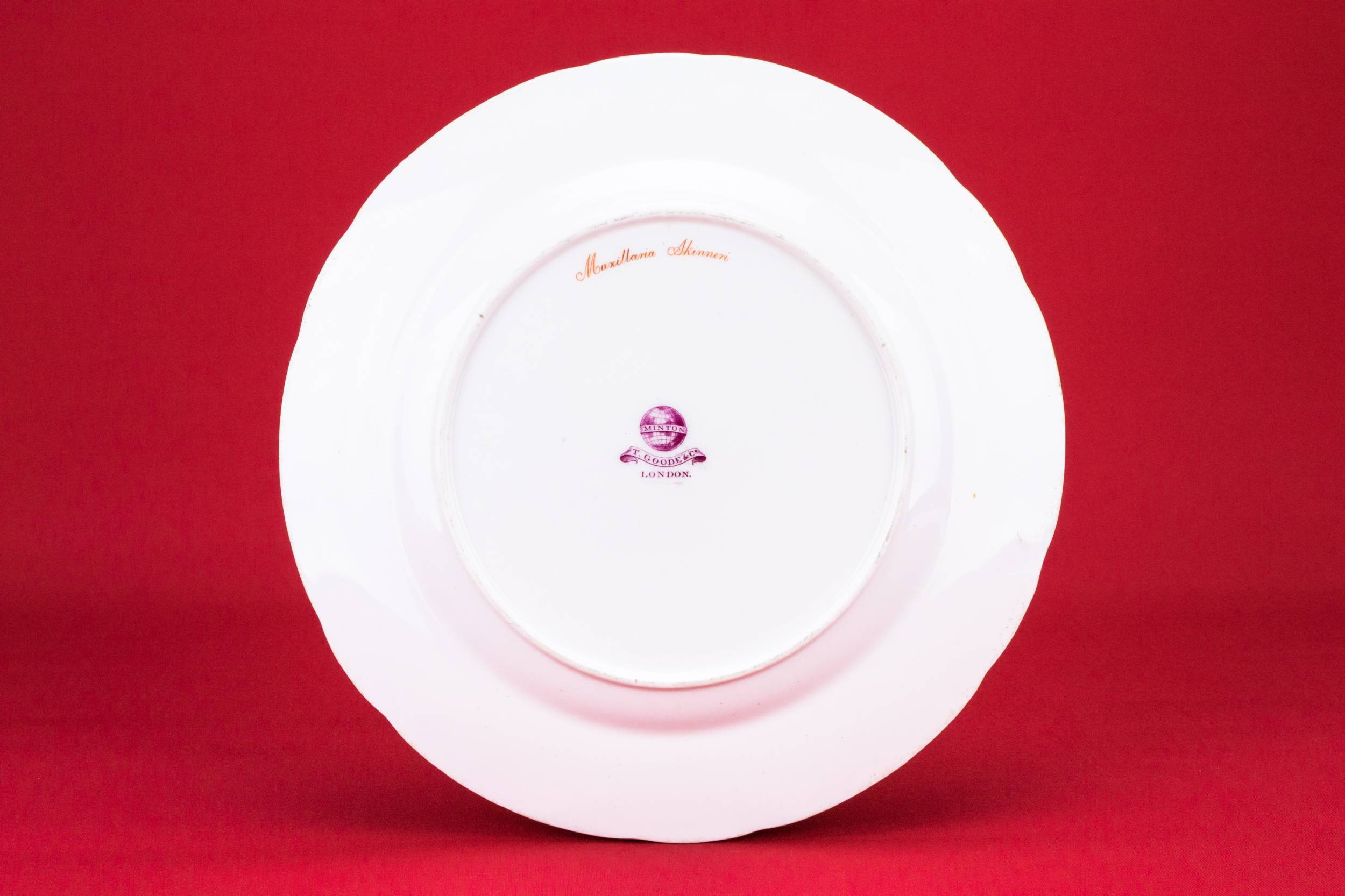 Spectacular Porcelain Floral — Painted orchid dinner plate 1