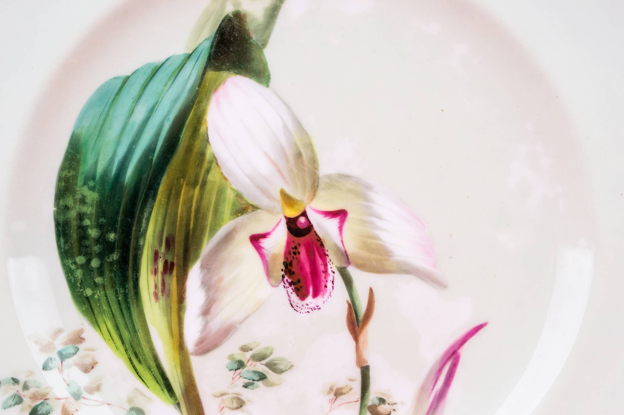 Spectacular Porcelain Floral — Painted orchid dinner plate 4