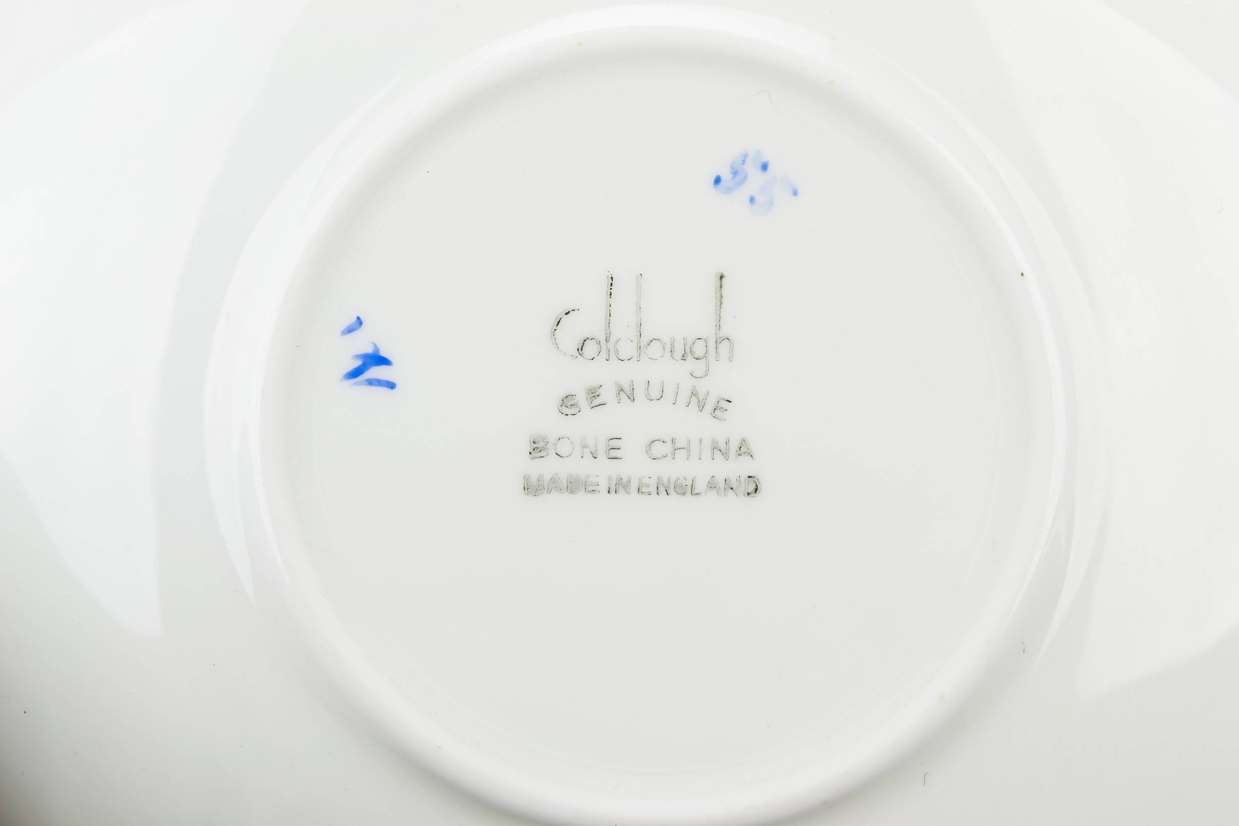 Porcelain Vintage Floral — Colclough cup and saucer 2