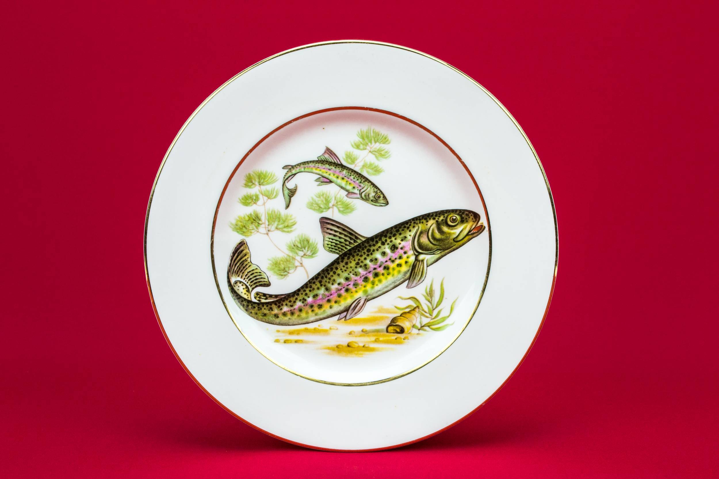 Spectacular Retro Fish — 6 fish design plates