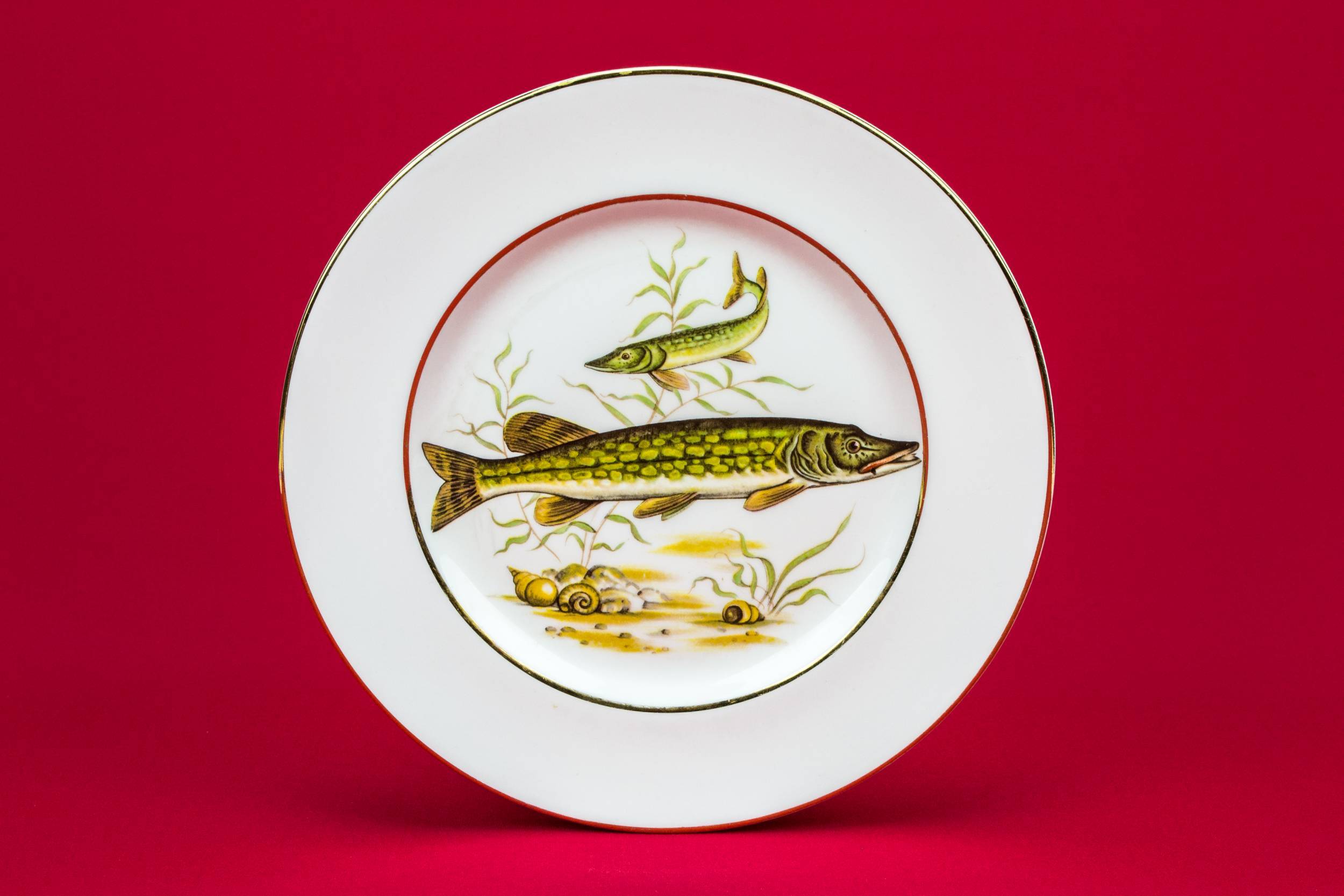 Spectacular Retro Fish — 6 fish design plates 1