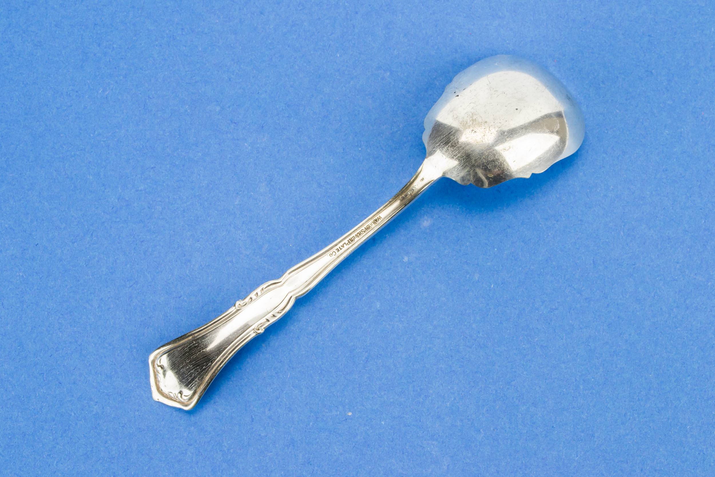 Elegant Art Nouveau — Art Nouveau sugar spoon 1