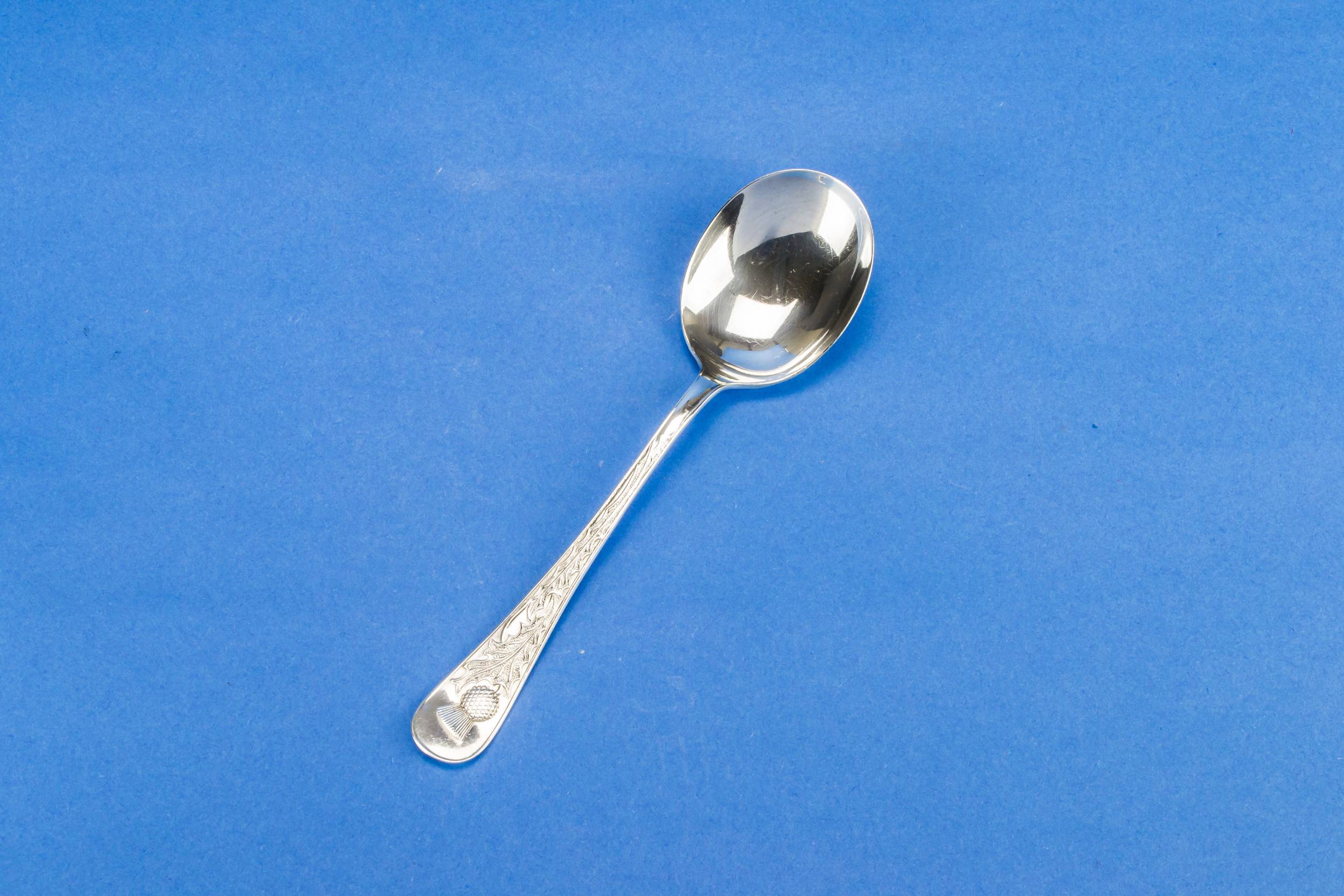 Silver Plated Metal — Silver plated thistle spoon