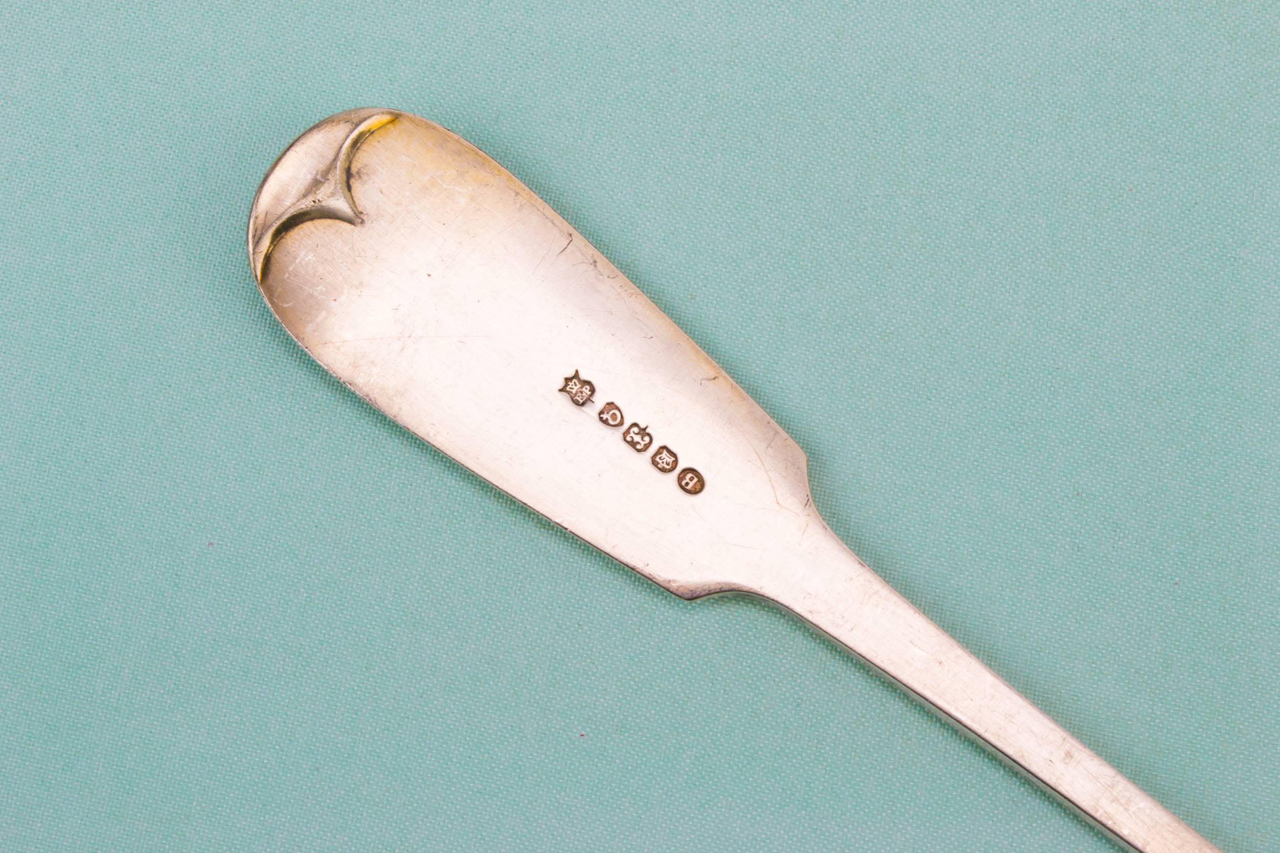 Long Handle Silver — Long serving spoon 2
