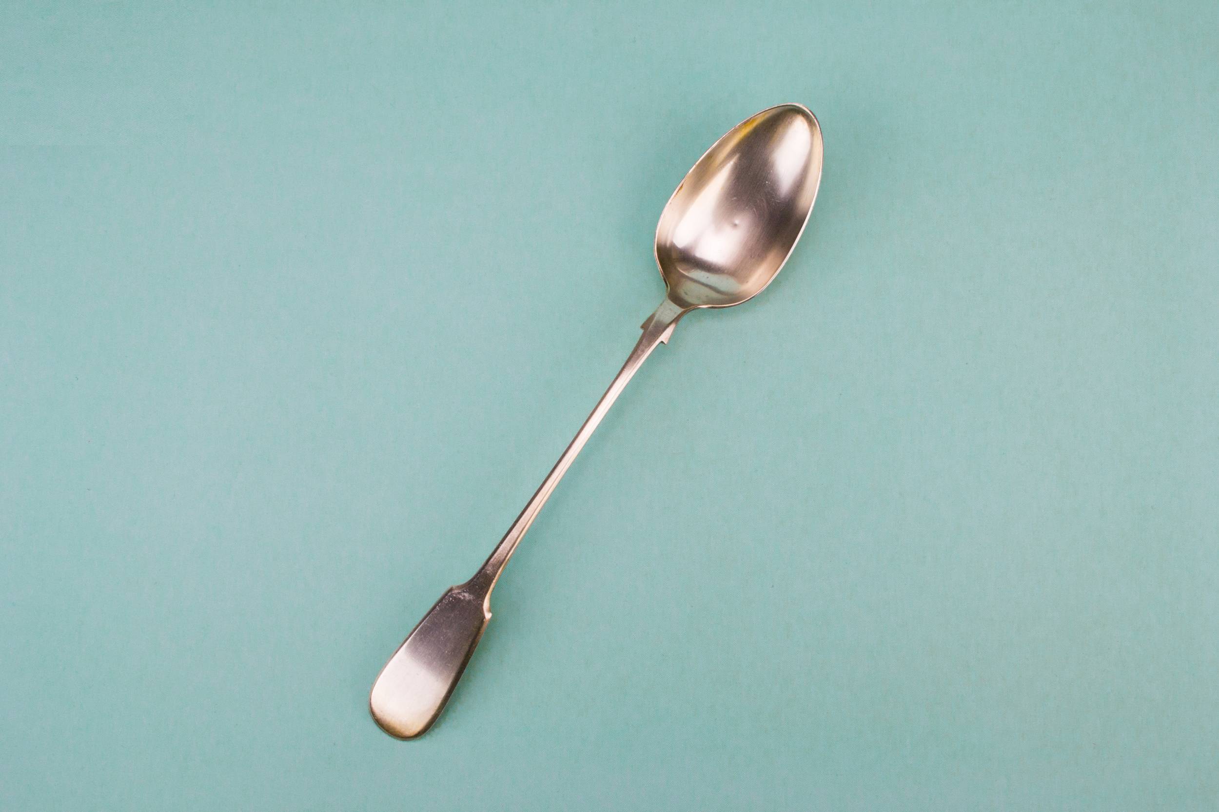 Long Handle Silver — Long serving spoon