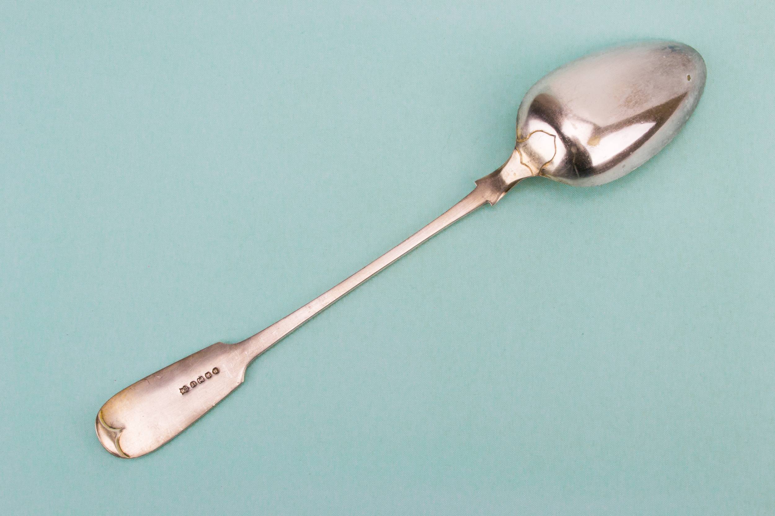 Long Handle Silver — Long serving spoon 1