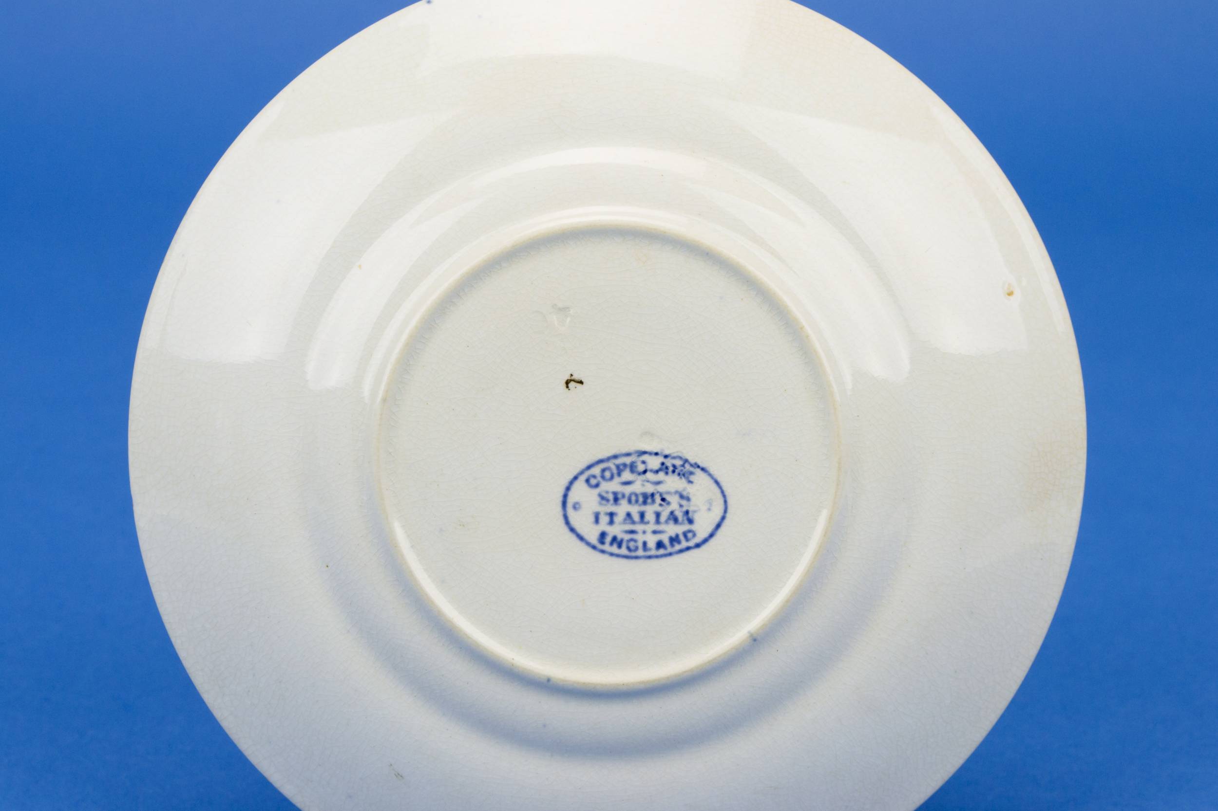 Victorian Vintage Cup — Blue and white tea set 4