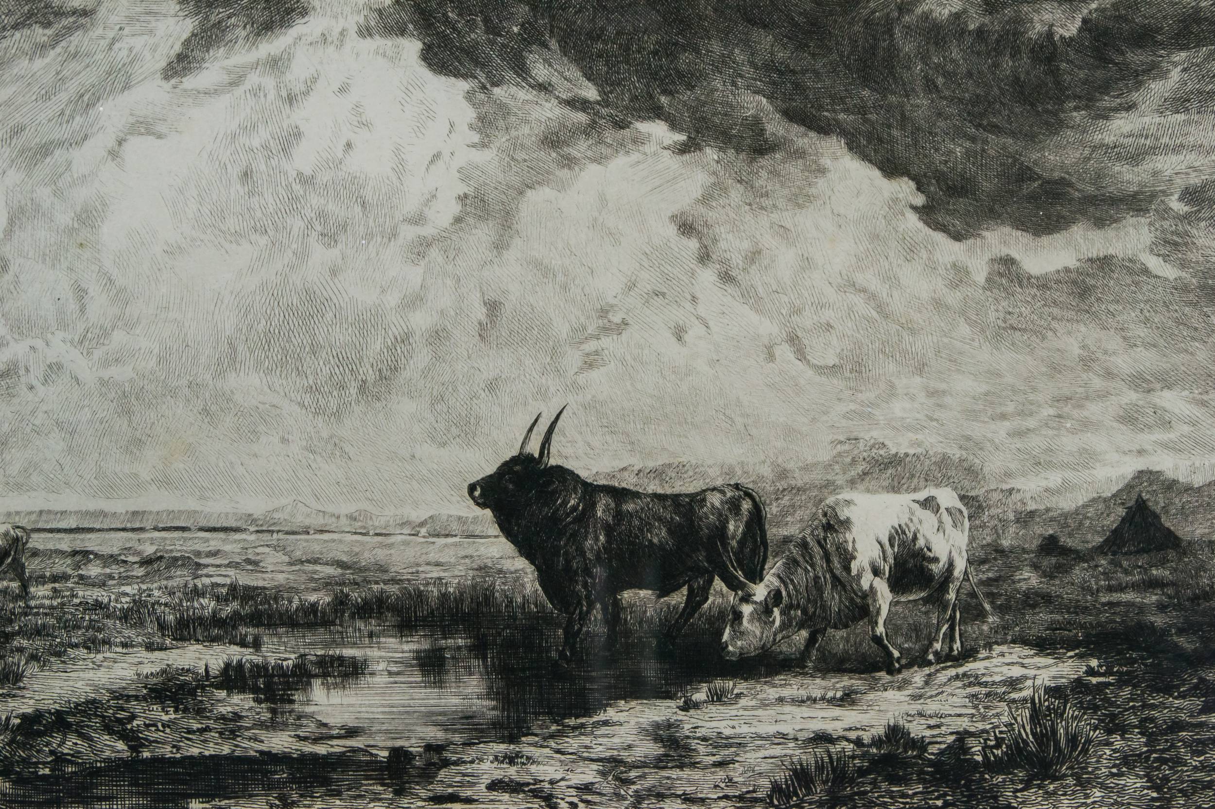Highland Cattle Etching — Highland landscape print 2