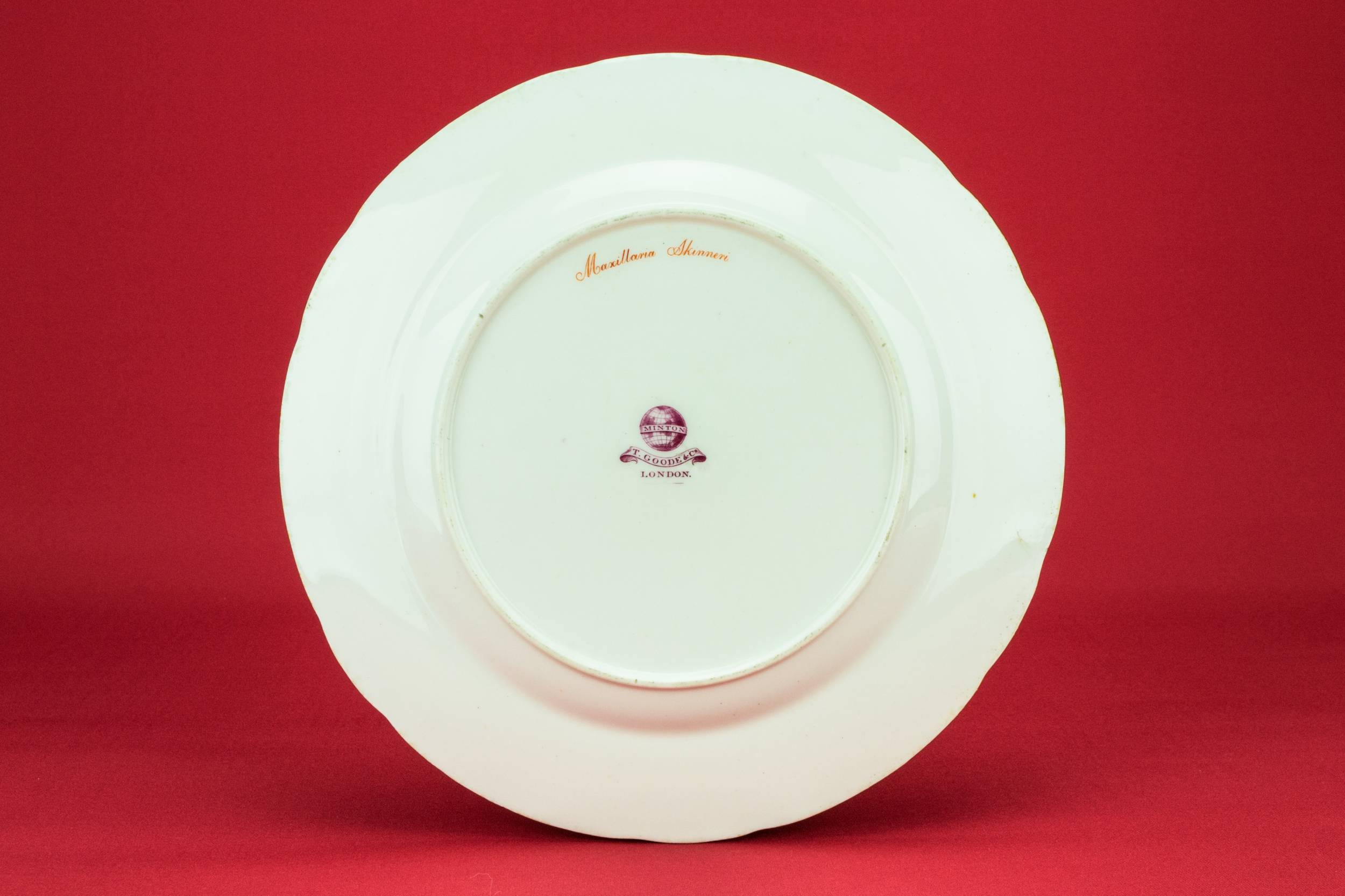 Spectacular Porcelain Floral — Painted orchid dinner plate 8