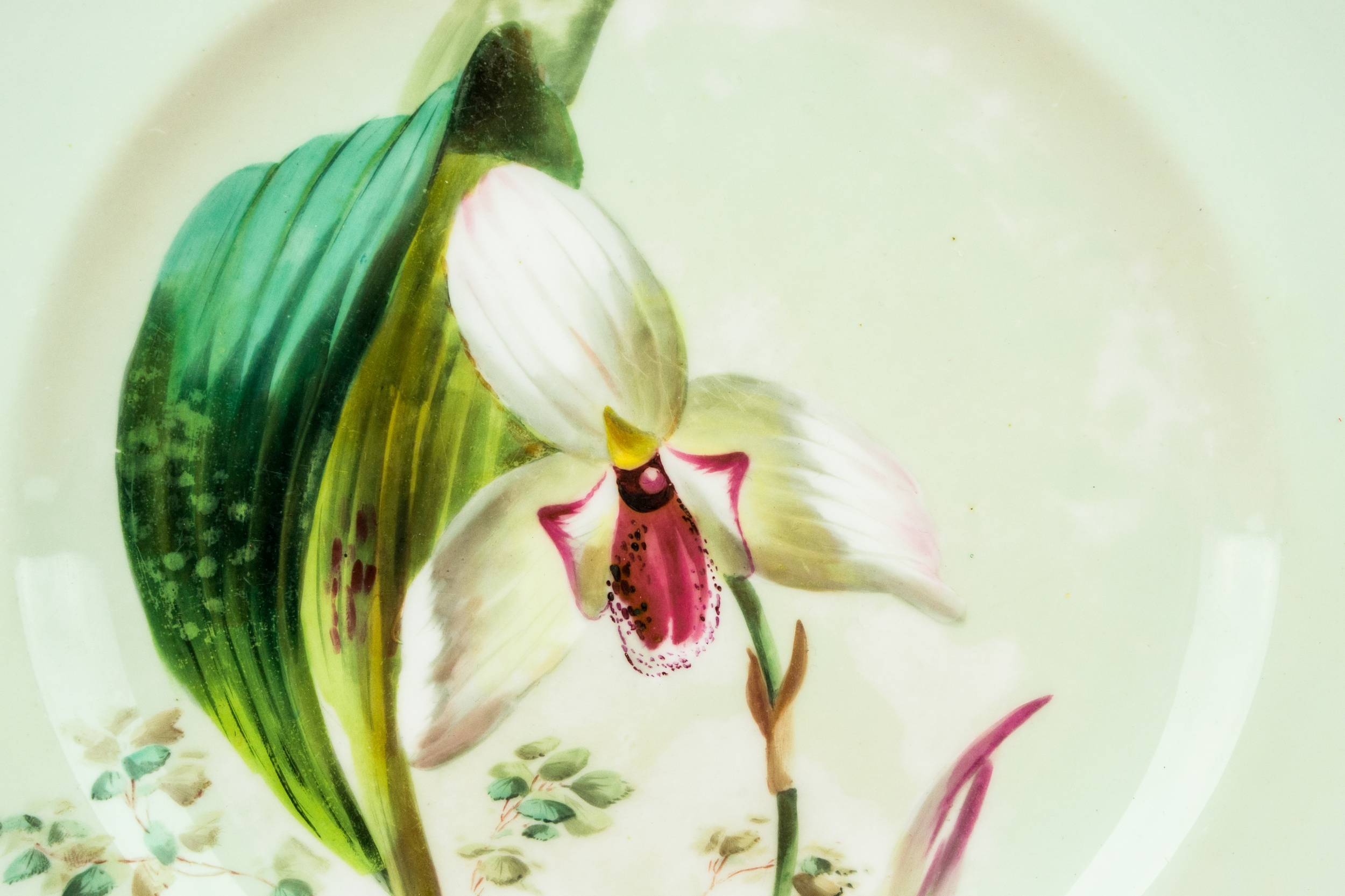 Spectacular Porcelain Floral — Painted orchid dinner plate 9