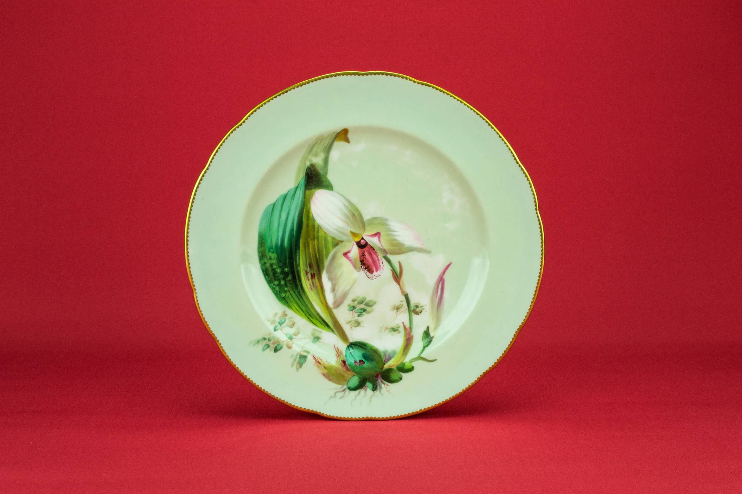 Spectacular Porcelain Floral — Painted orchid dinner plate 5